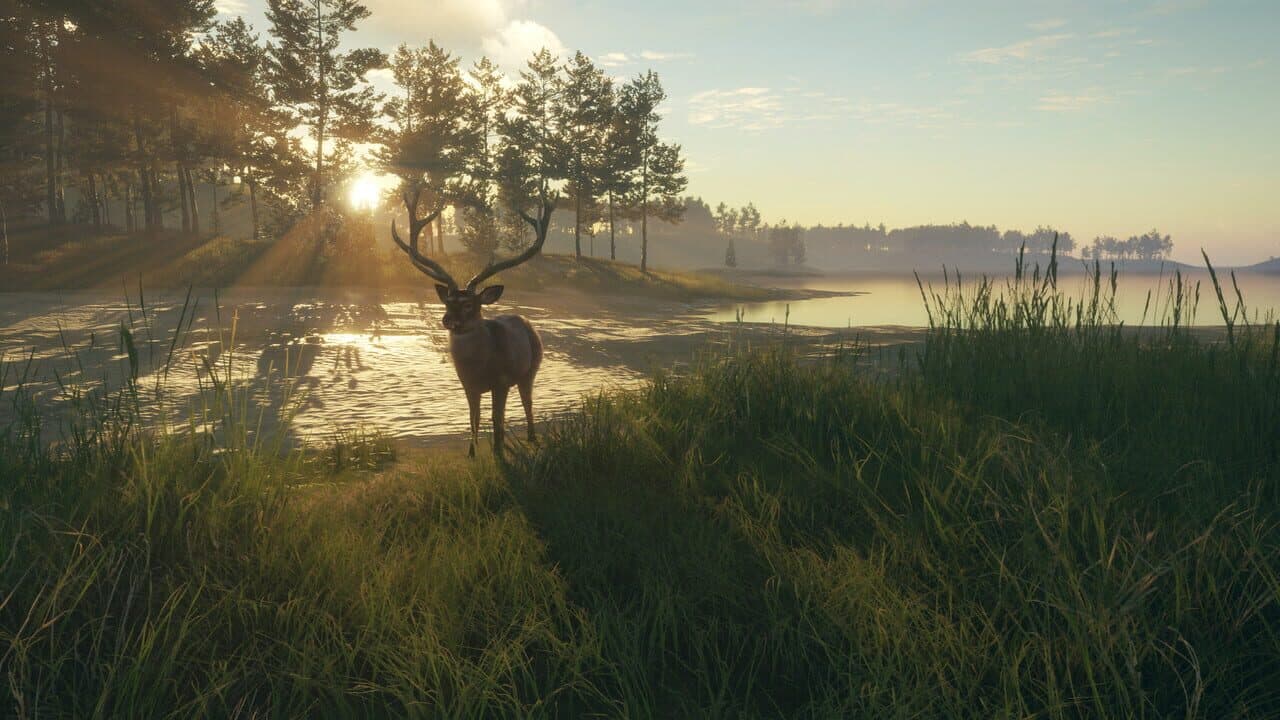 TheHunter: Call of the Wild - Te Awaroa National Park thumbnail 12