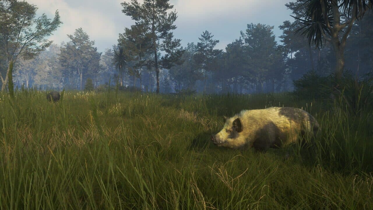 TheHunter: Call of the Wild - Te Awaroa National Park thumbnail 4