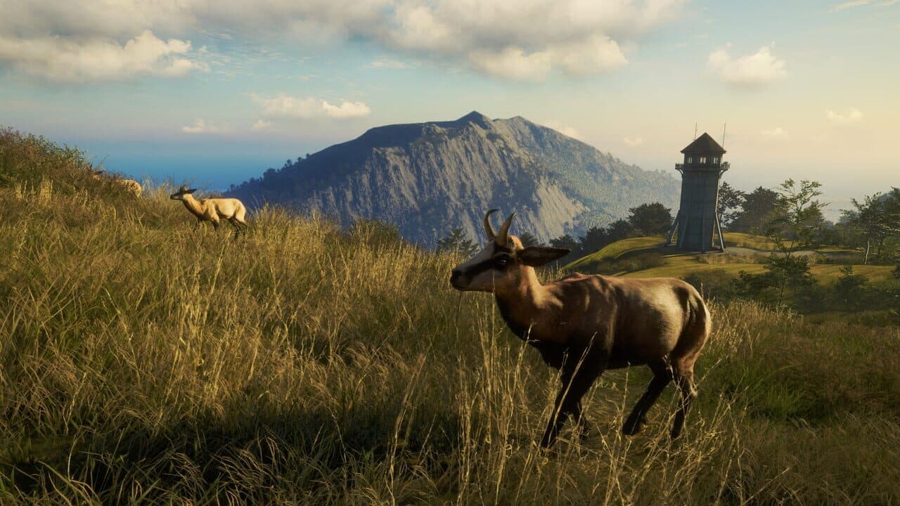 TheHunter: Call of the Wild - Te Awaroa National Park thumbnail 5
