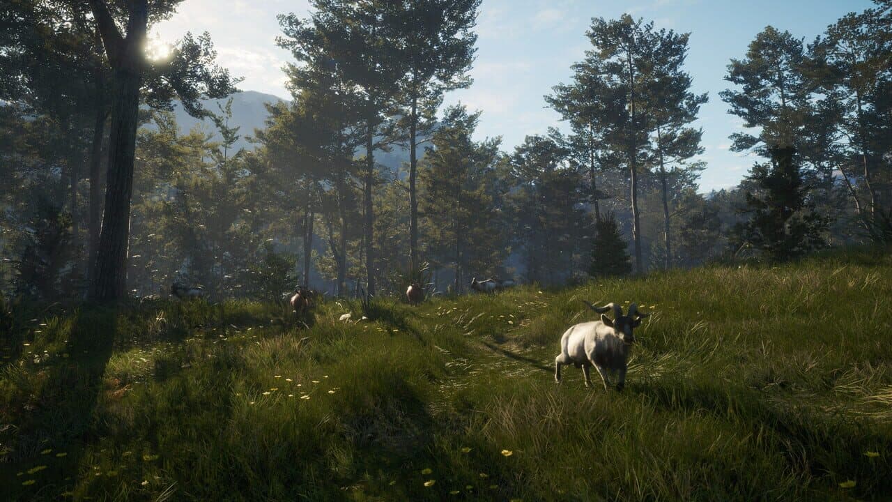 TheHunter: Call of the Wild - Te Awaroa National Park thumbnail 6