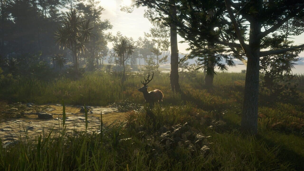 TheHunter: Call of the Wild - Te Awaroa National Park thumbnail 9