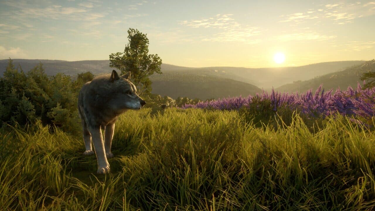 TheHunter: Call of the Wild - Cuatro Colinas Game Reserve thumbnail 2