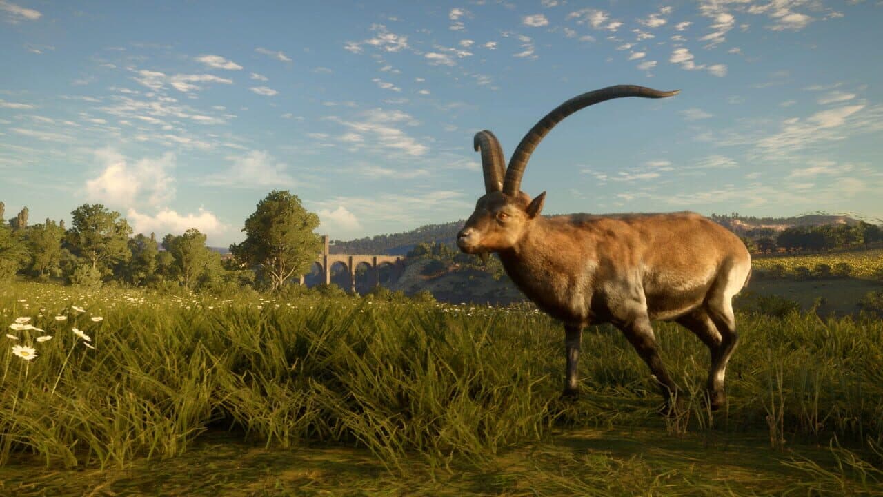 TheHunter: Call of the Wild - Cuatro Colinas Game Reserve thumbnail 3