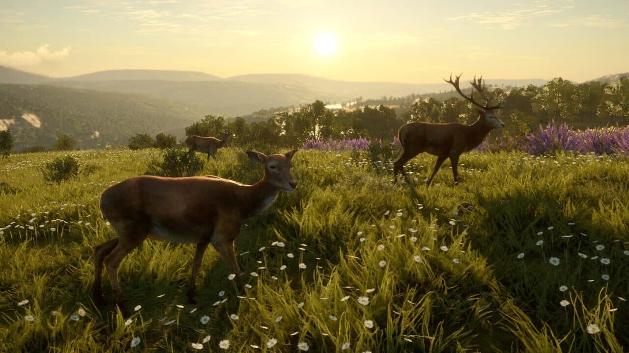 TheHunter: Call of the Wild - Cuatro Colinas Game Reserve thumbnail 6