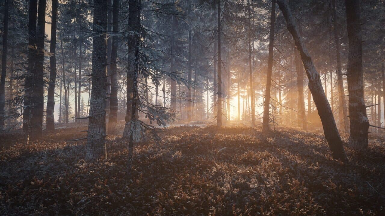 TheHunter: Call of the Wild - Medved-Taiga thumbnail 2