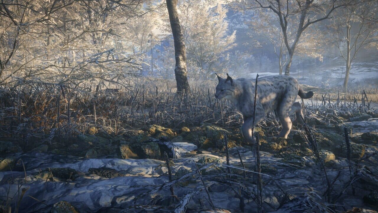 TheHunter: Call of the Wild - Medved-Taiga thumbnail 5