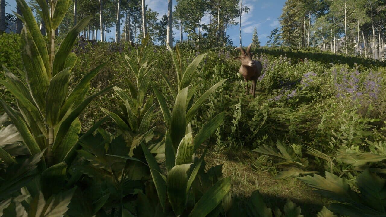 TheHunter: Call of the Wild - Silver Ridge Peaks thumbnail 8