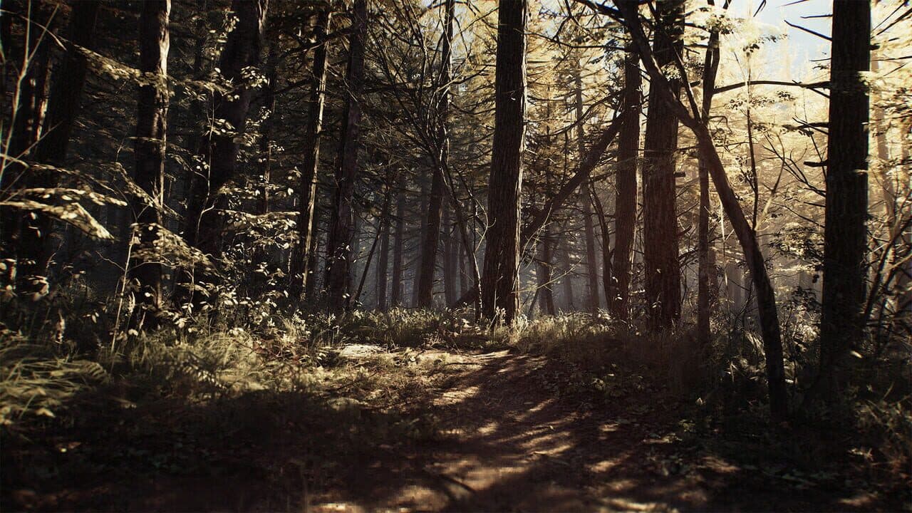 Blair Witch: Deluxe Edition screenshot 1
