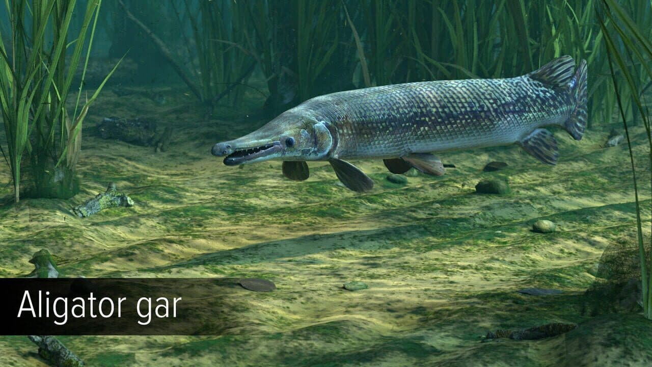 Ultimate Fishing Simulator: Amazon River thumbnail 17