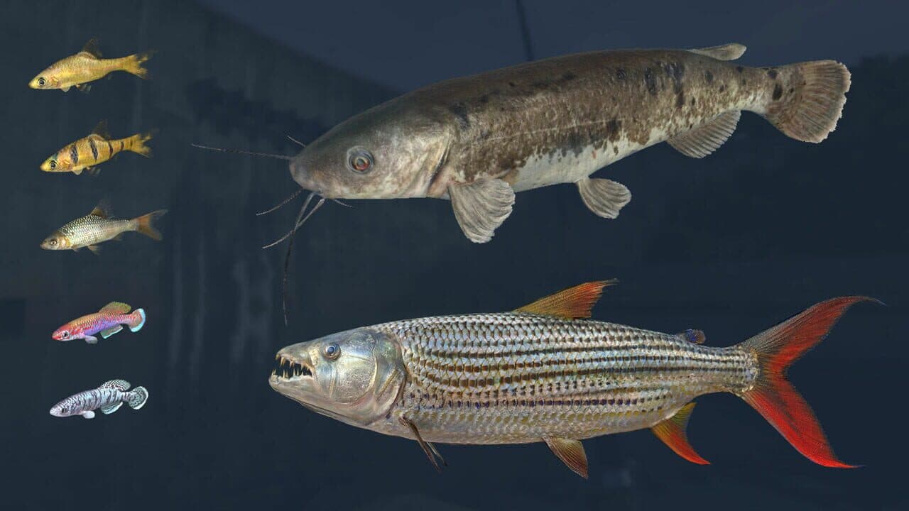 Ultimate Fishing Simulator: Kariba Dam thumbnail 9