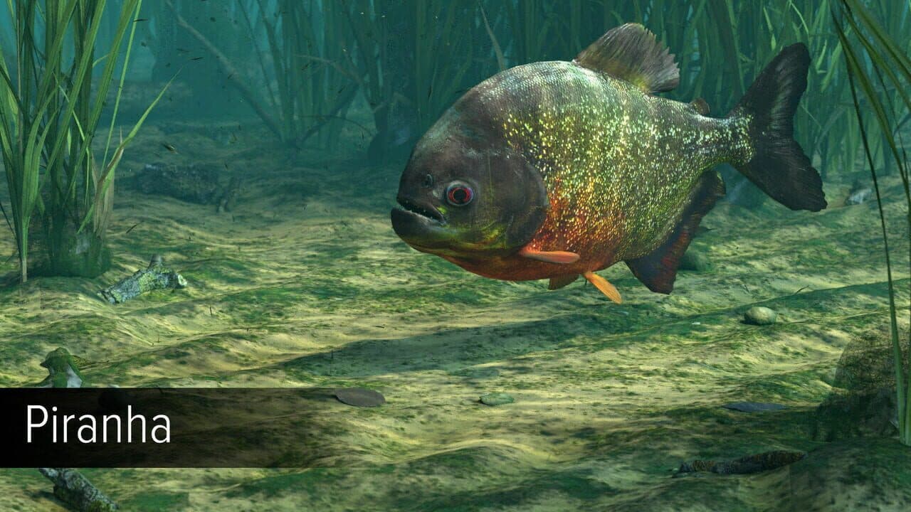 Ultimate Fishing Simulator: Amazon River thumbnail 14