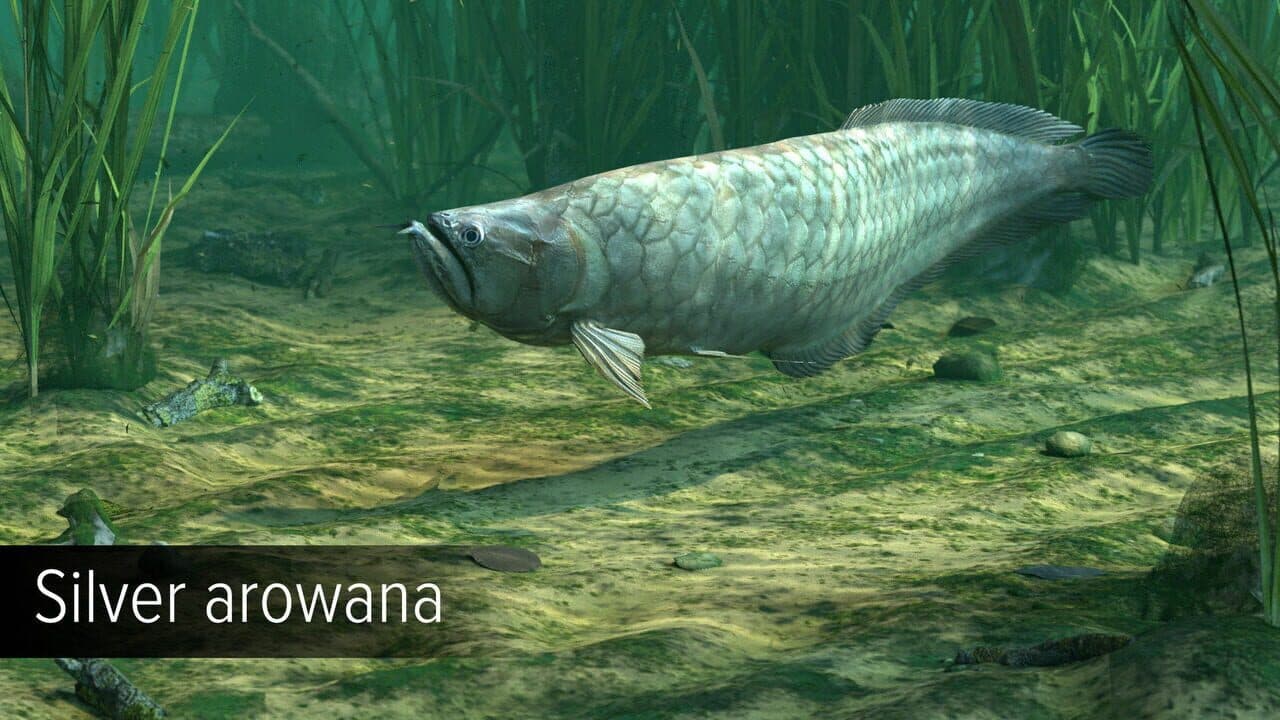 Ultimate Fishing Simulator: Amazon River thumbnail 11