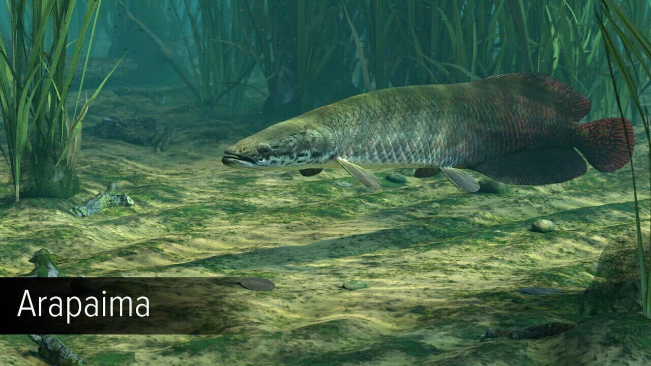 Ultimate Fishing Simulator: Amazon River thumbnail 2