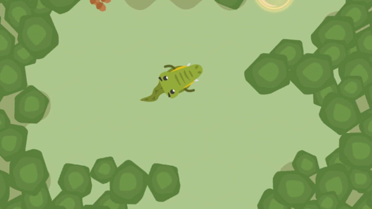 Forest Run: Animal Adventure thumbnail 4