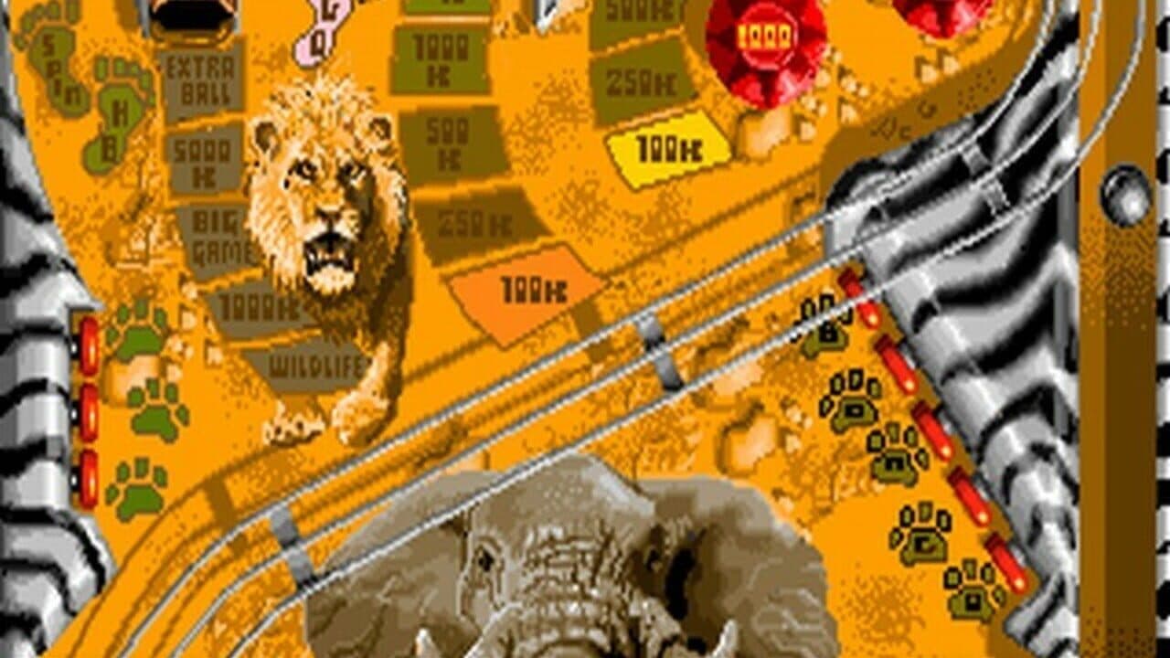Pinball Illusions thumbnail 11