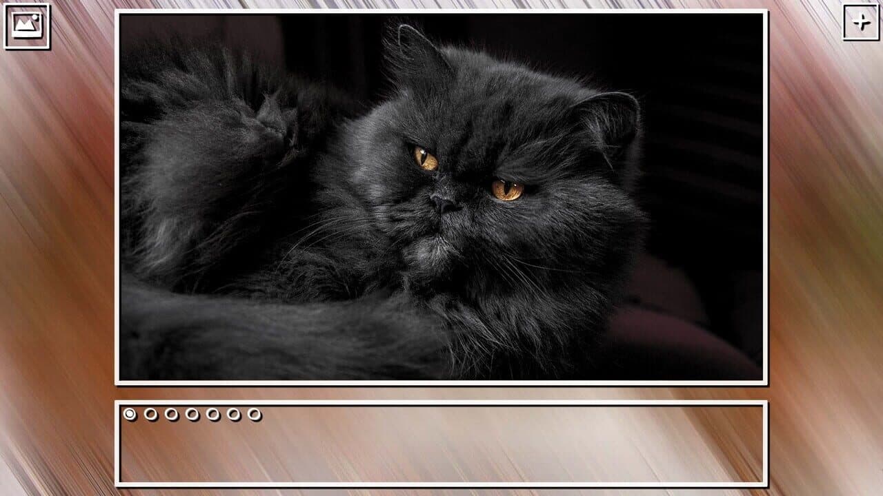 Super Jigsaw Puzzle: Generations - Cats Puzzles thumbnail 3