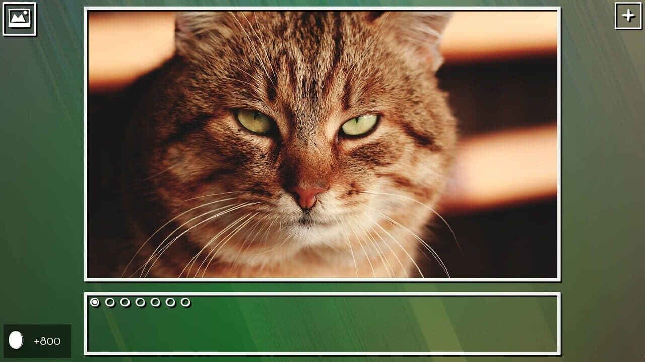 Super Jigsaw Puzzle: Generations - Cats Puzzles thumbnail 9