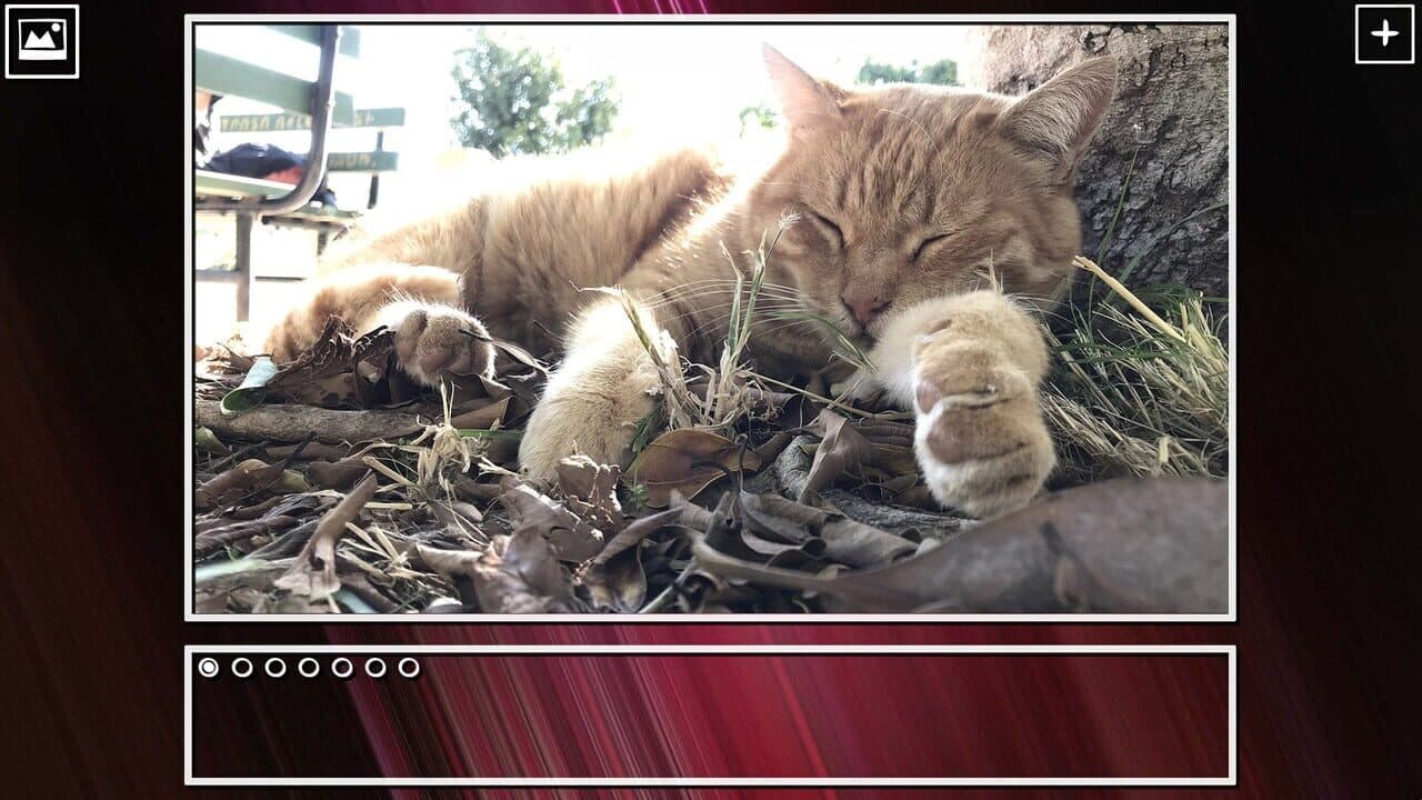 Super Jigsaw Puzzle: Generations - Cats Puzzles thumbnail 12