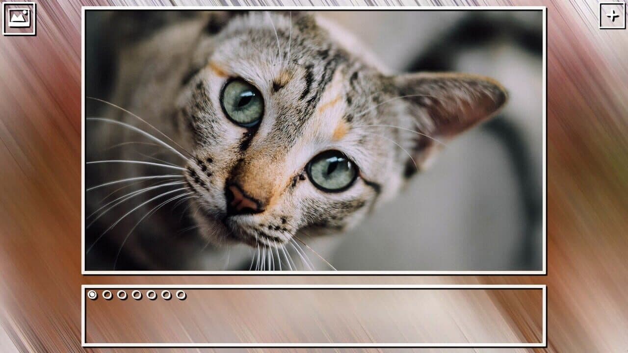 Super Jigsaw Puzzle: Generations - Cats Puzzles thumbnail 16
