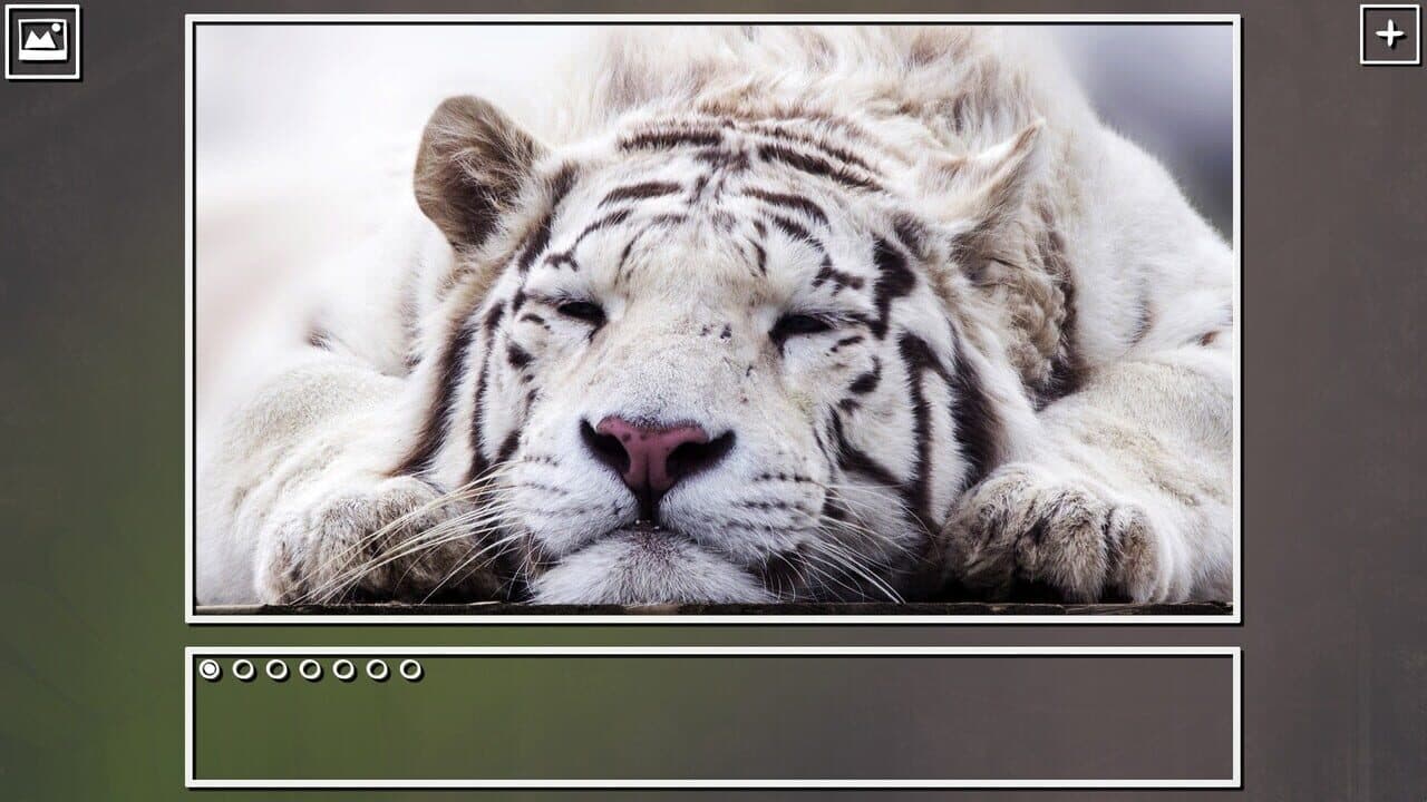 Super Jigsaw Puzzle: Generations - Big Cats Puzzles thumbnail 5