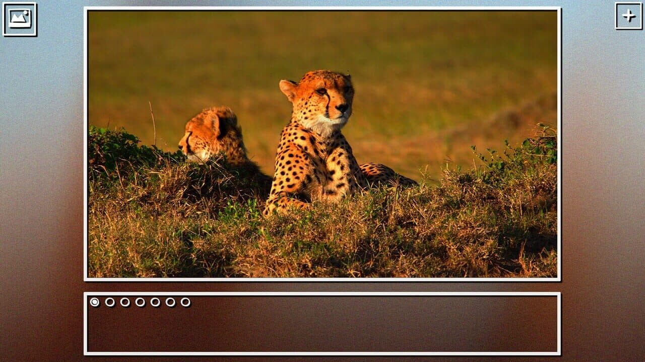 Super Jigsaw Puzzle: Generations - Big Cats Puzzles thumbnail 7