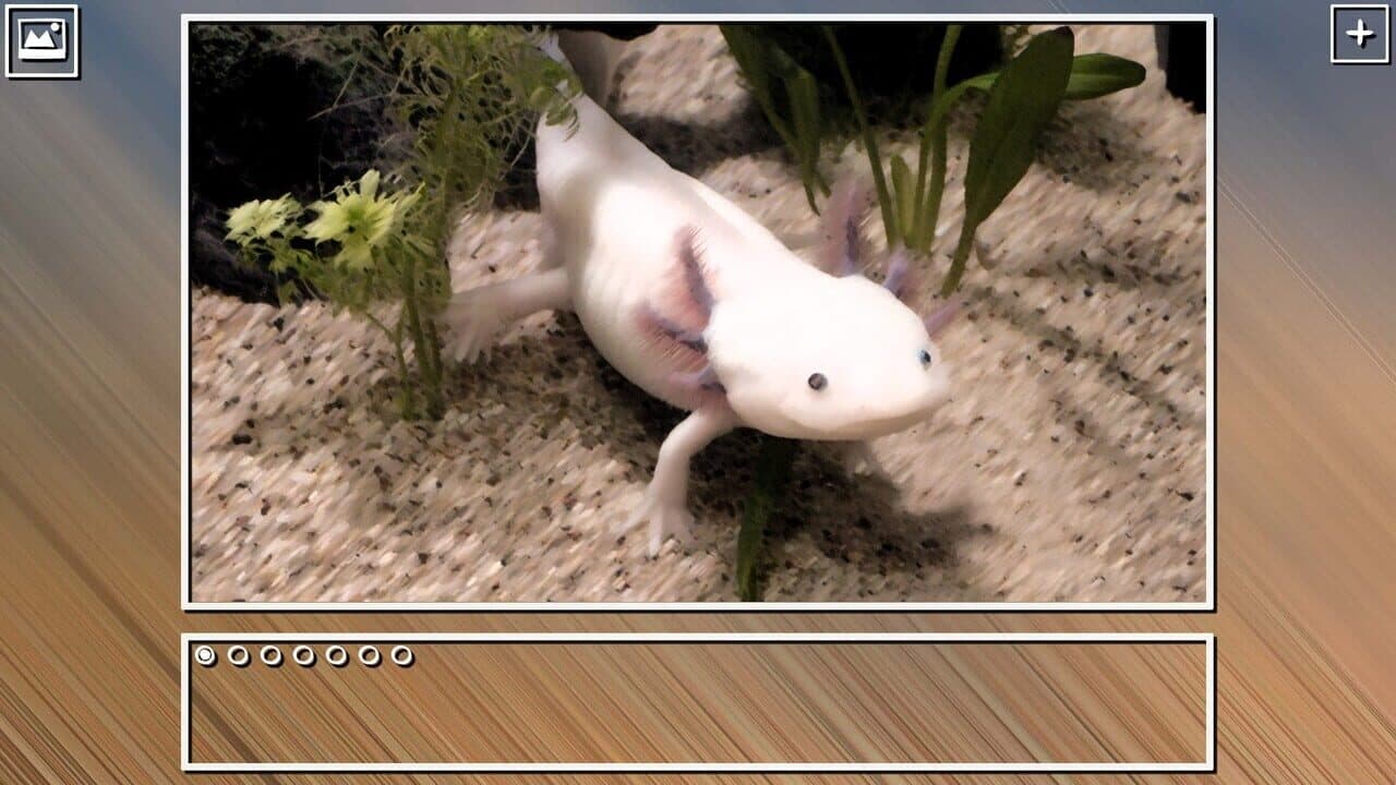 Super Jigsaw Puzzle: Generations - Mexico Puzzles thumbnail 4
