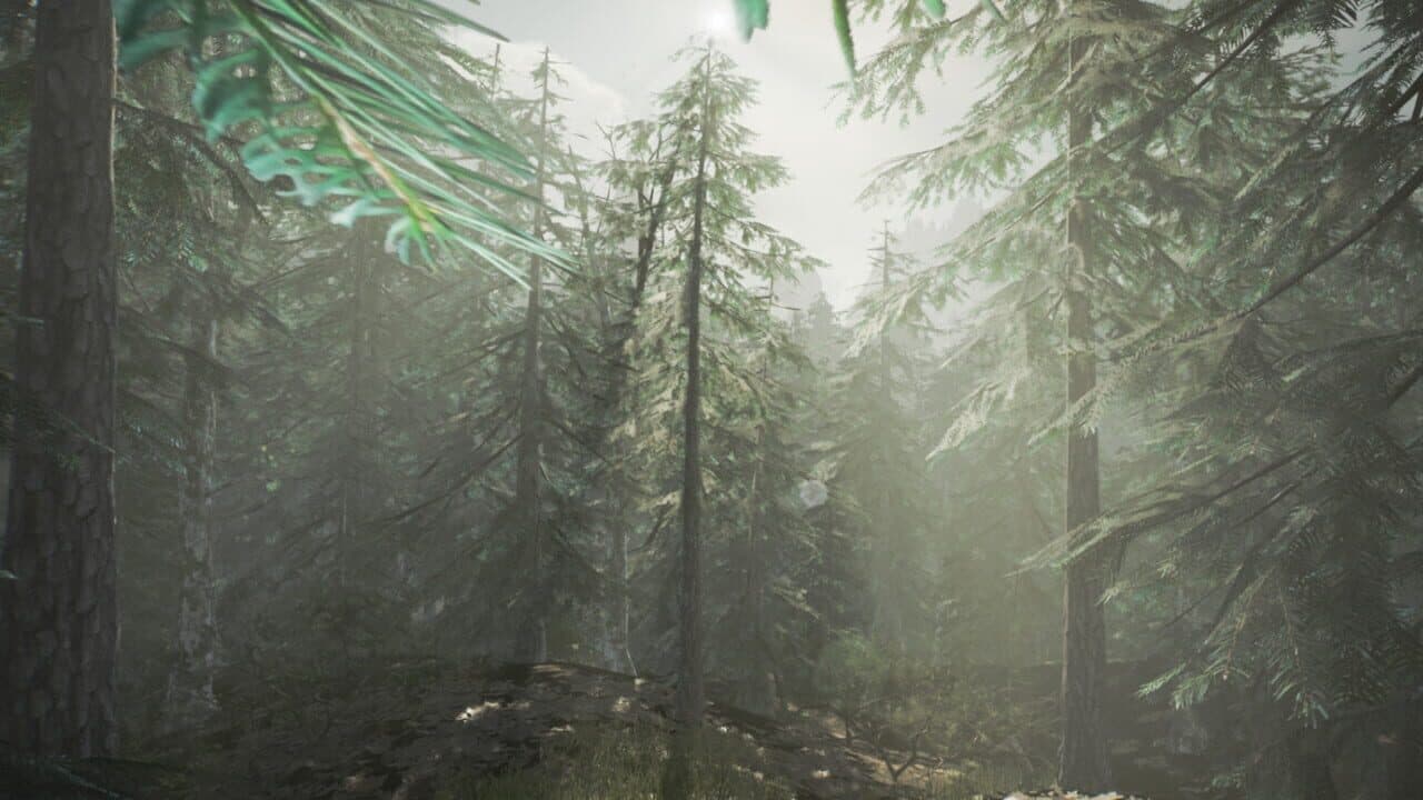 Little Hats thumbnail 7