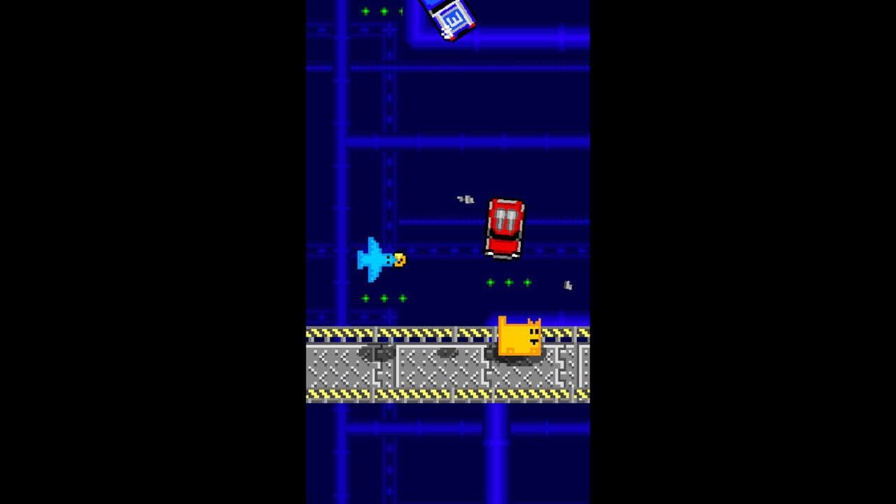 Box Cat Bash thumbnail 2