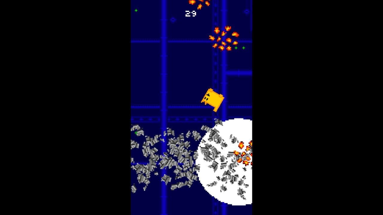 Box Cat Bash thumbnail 3
