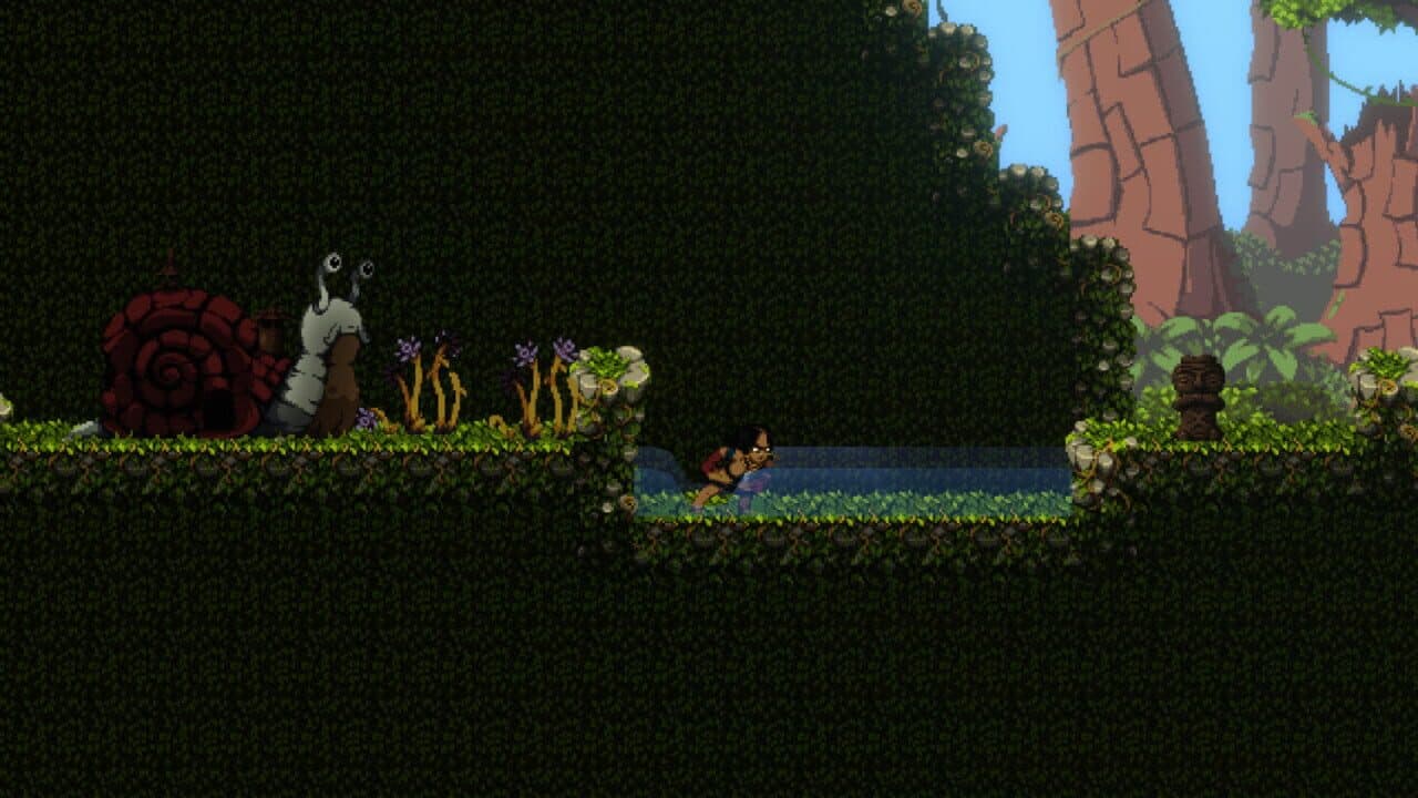 Bacuri thumbnail 2
