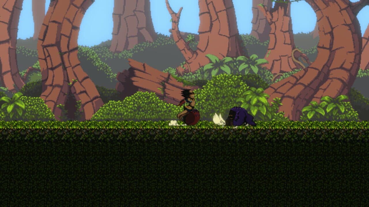 Bacuri thumbnail 3