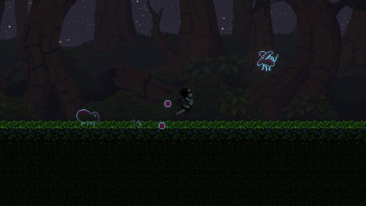 Bacuri thumbnail 5