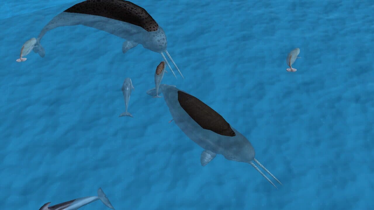 Wildilfe Park 3: Alaska thumbnail 17
