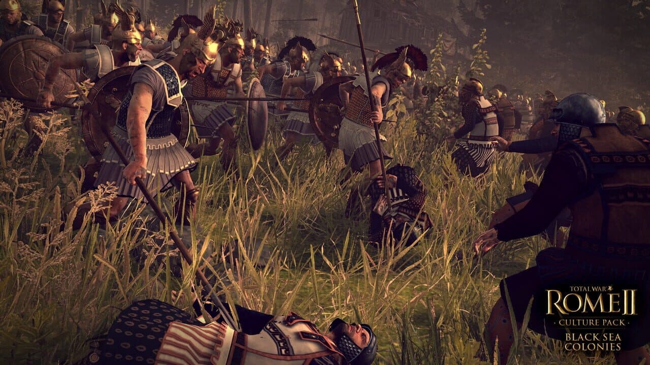 Total War: Rome II - Culture Pack: Black Seas Colonies thumbnail 3