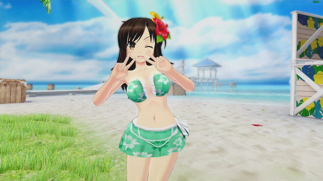 Senran Kagura: Peach Beach Splash - Awakened Character Pack thumbnail 6