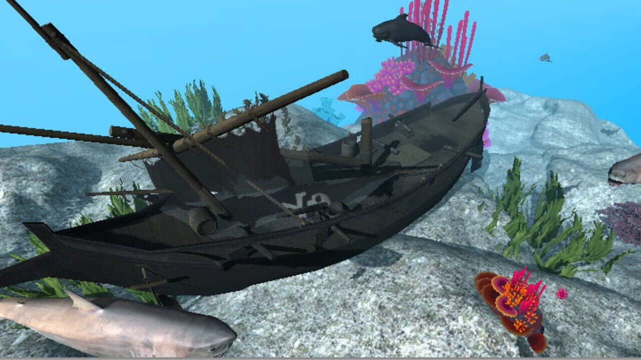 VR Shark thumbnail 5