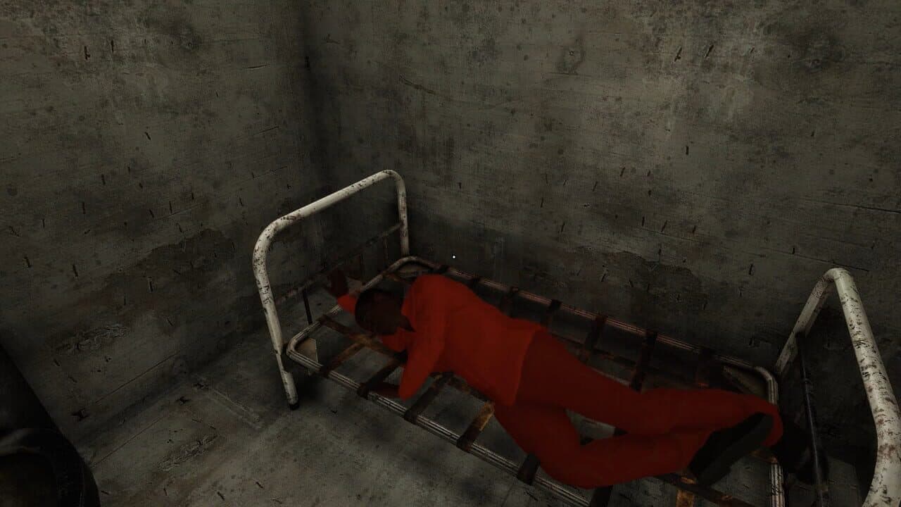 Project Prison thumbnail 6