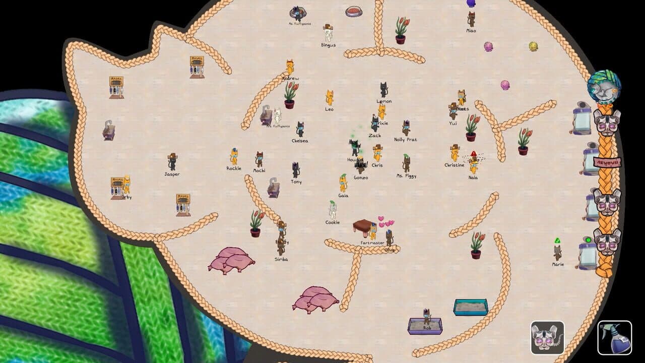Cat Colony Crisis thumbnail 6