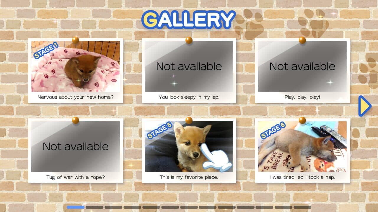 Shiba Mekuri thumbnail 3
