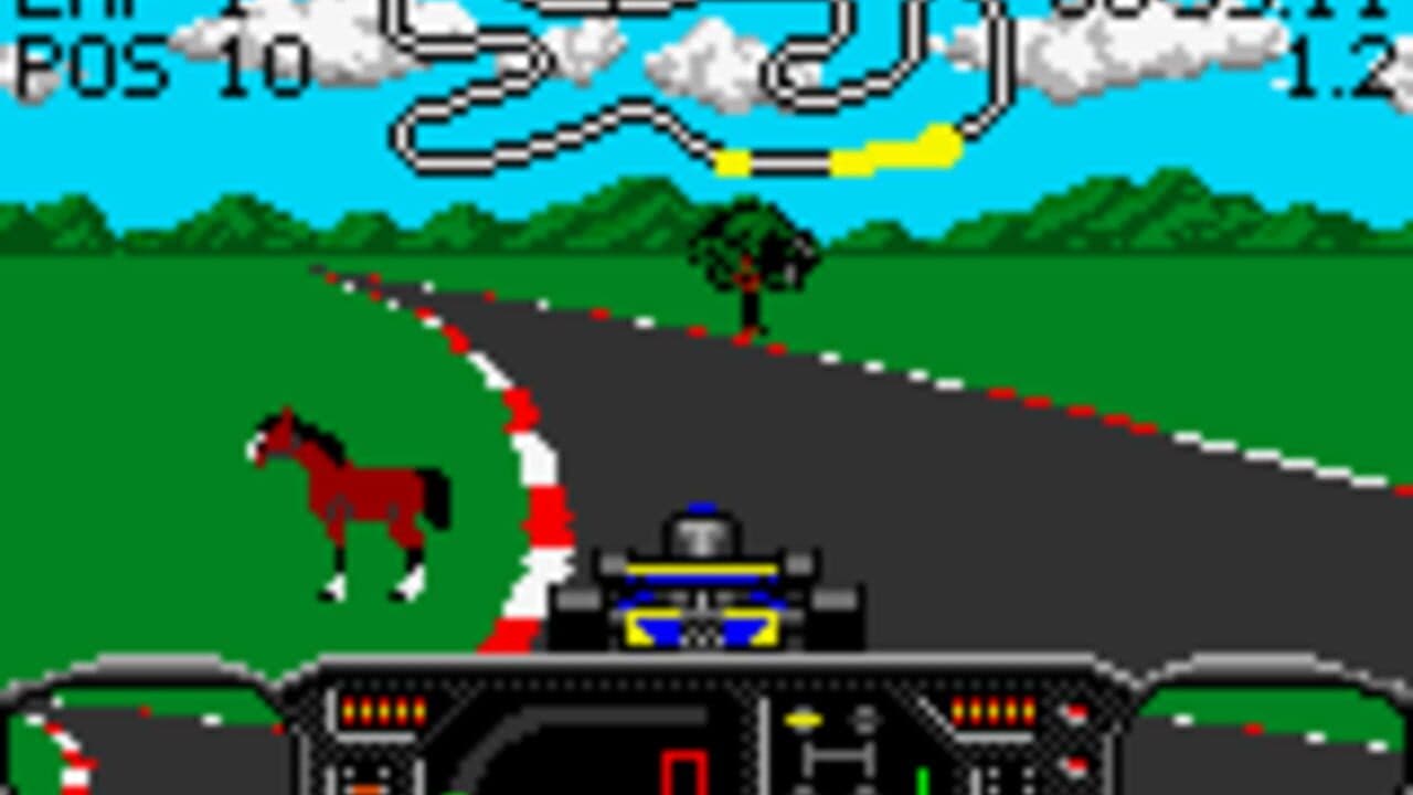 Checkered Flag thumbnail 4