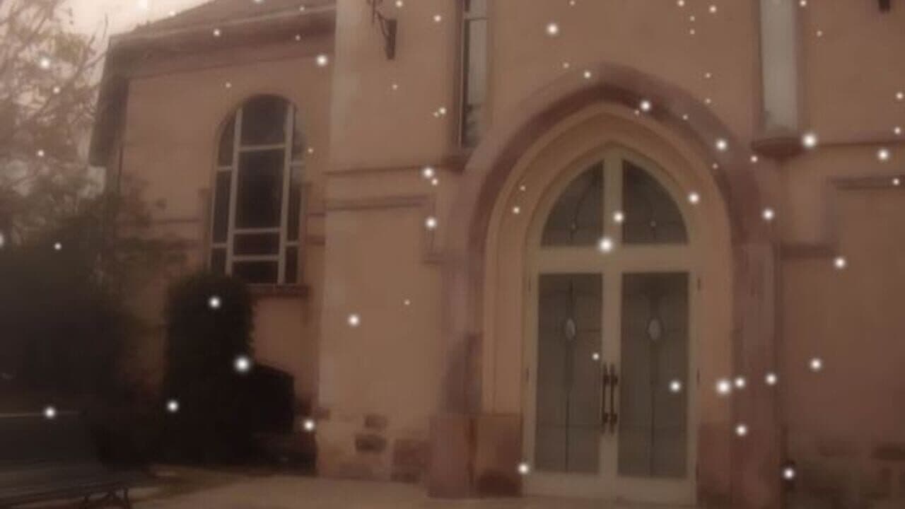 True Remembrance thumbnail 4
