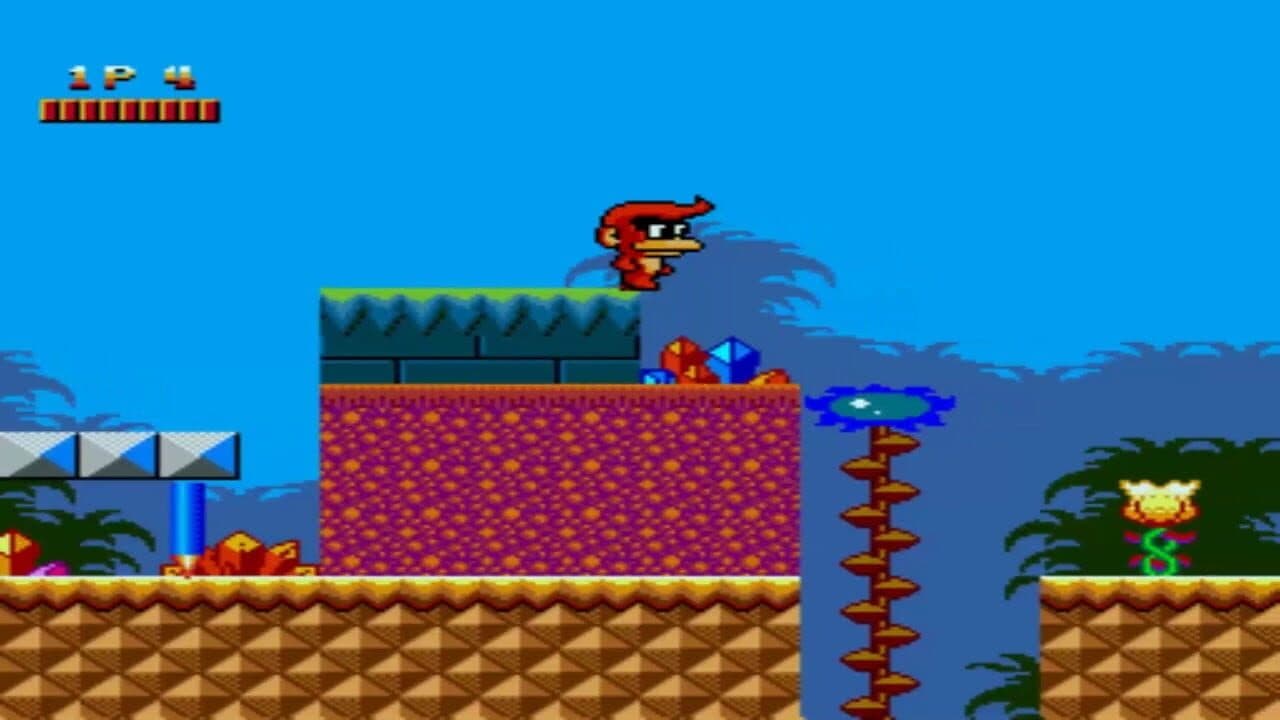 Curly Monkey 2 thumbnail 2