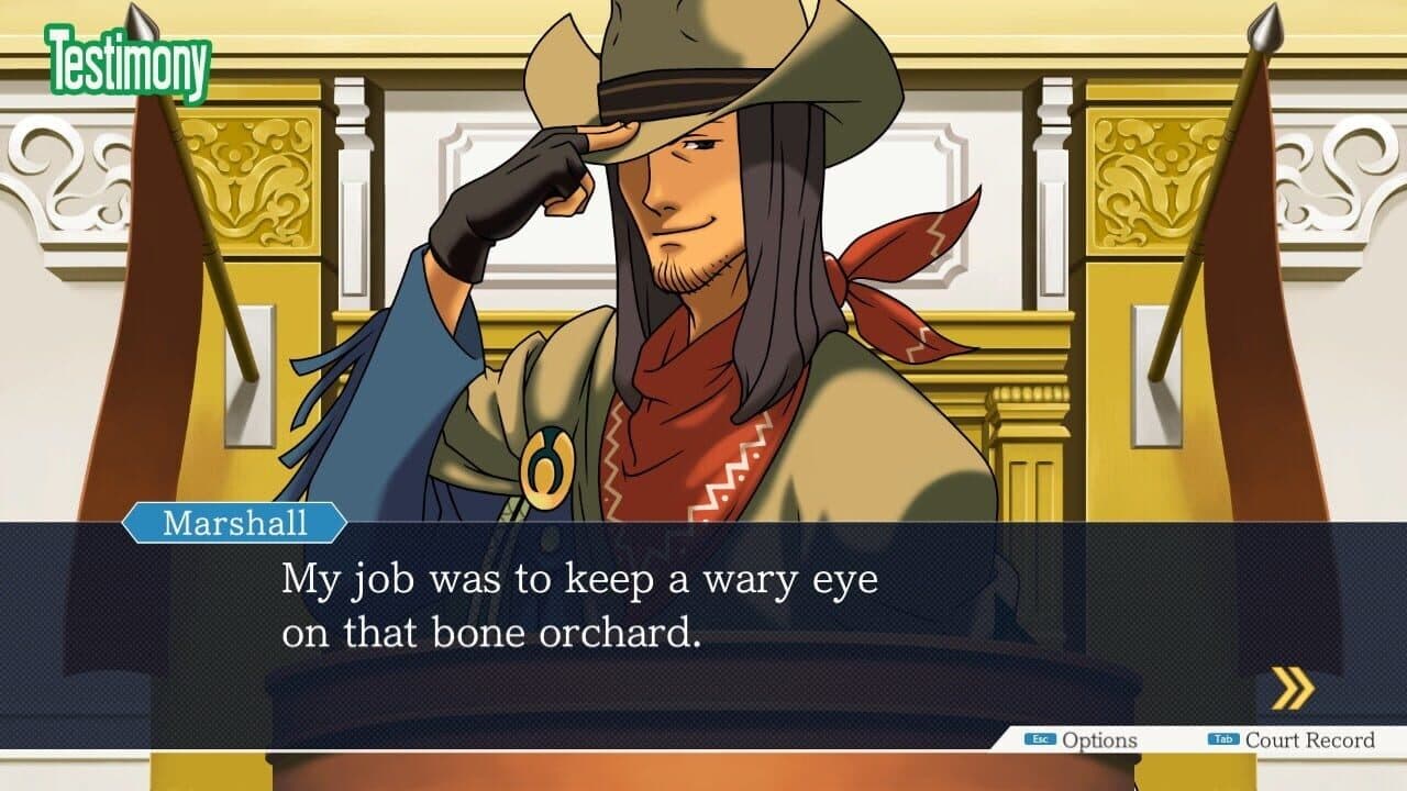 Ace Attorney Turnabout Collection thumbnail 6