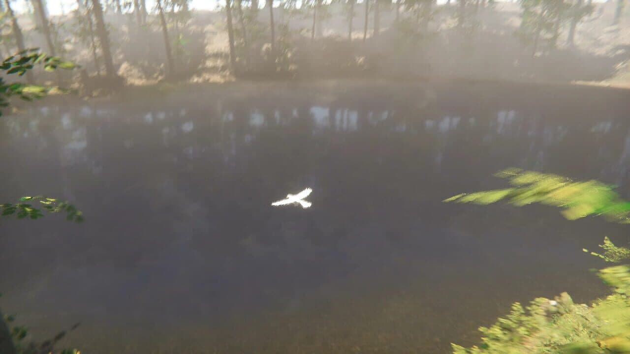 Bird thumbnail 2