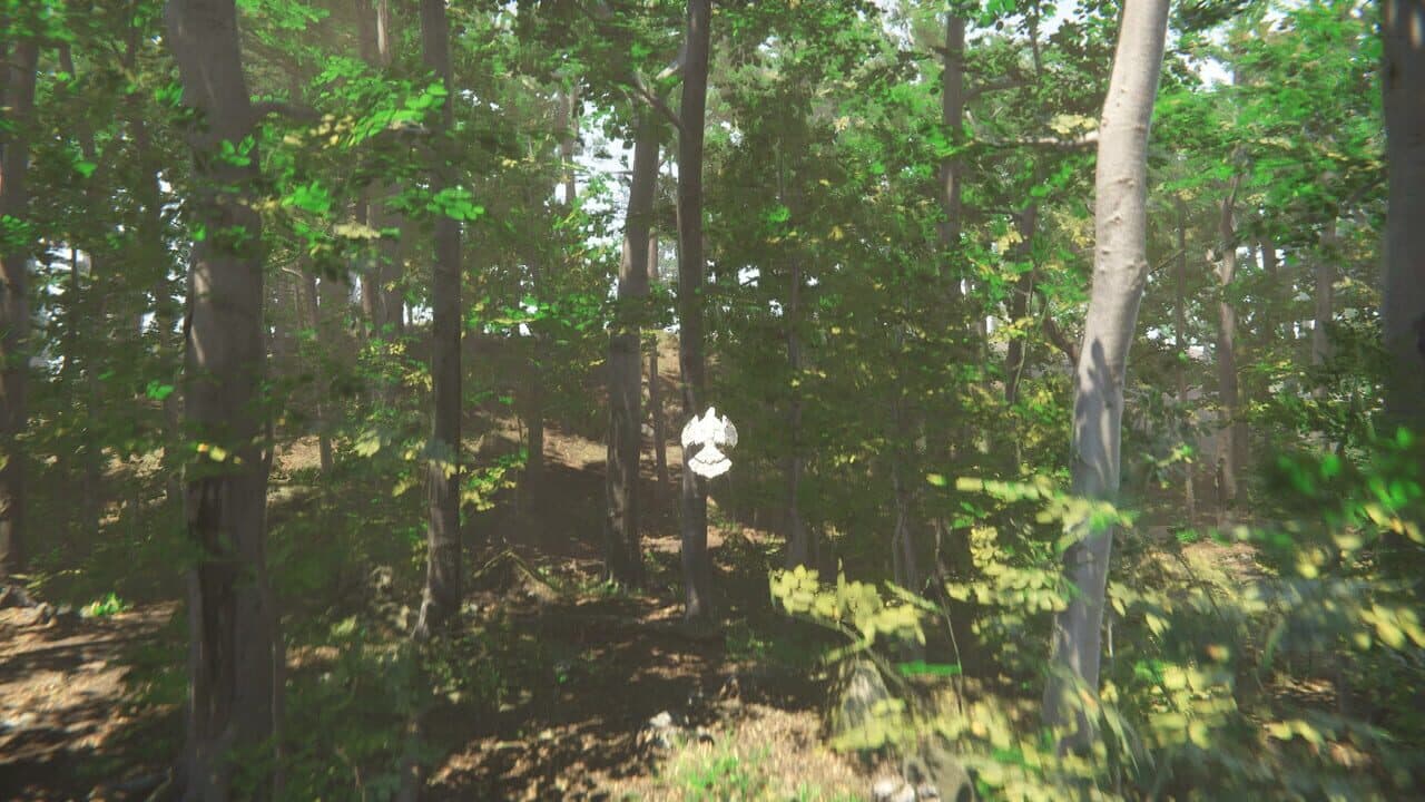 Bird thumbnail 3