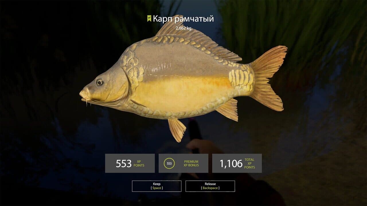 Russian Fishing 4: Amber Lake thumbnail 5