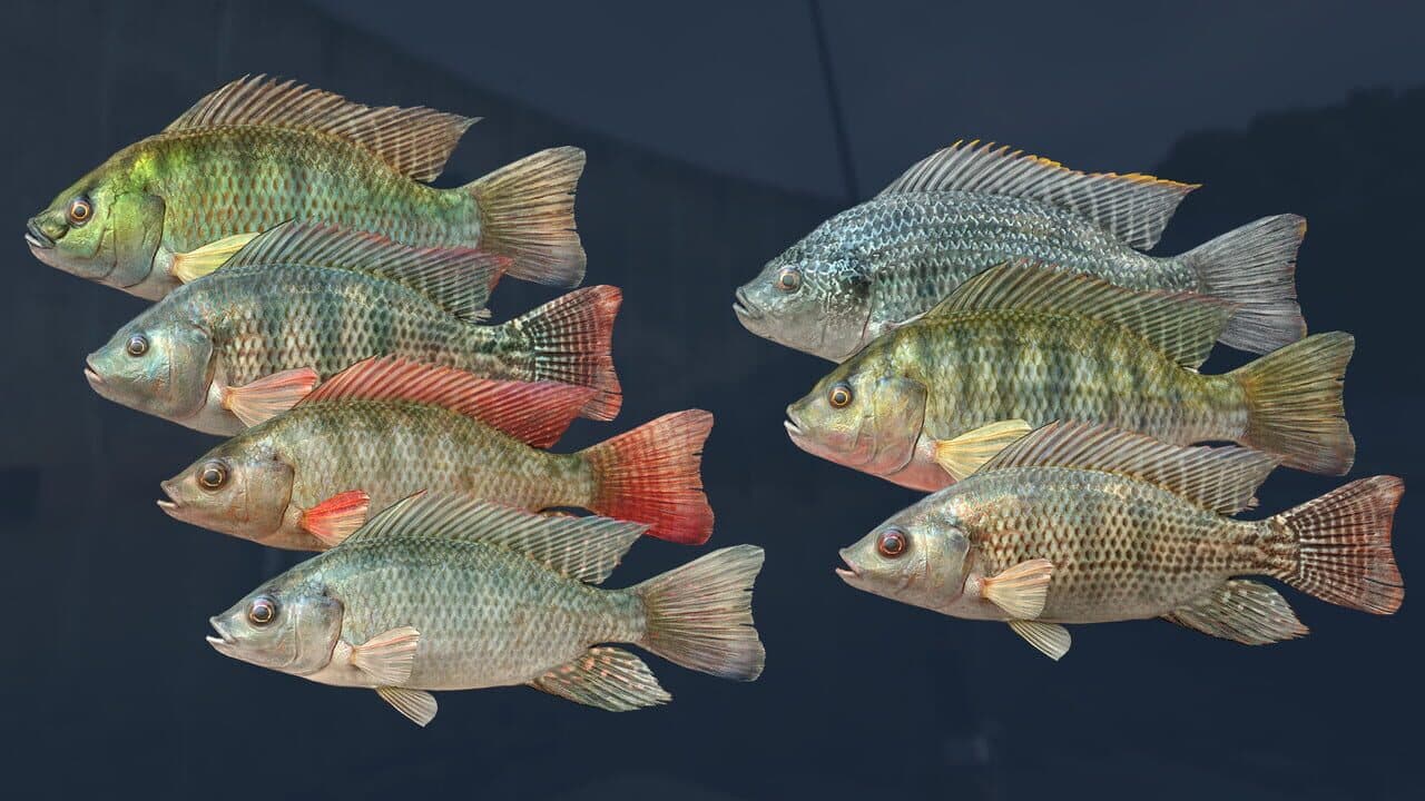 Ultimate Fishing Simulator VR: Kariba Dam screenshot 1