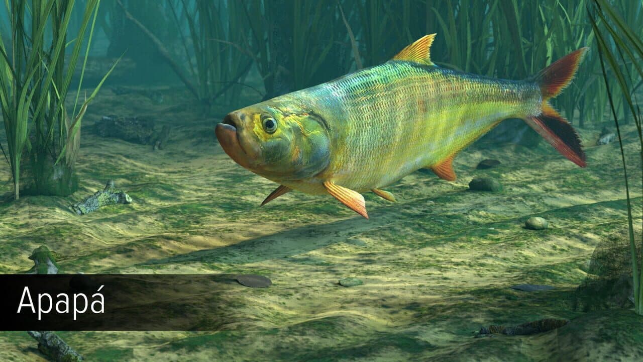 Ultimate Fishing Simulator VR: Amazon River thumbnail 14