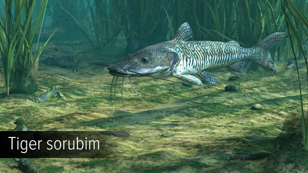 Ultimate Fishing Simulator VR: Amazon River thumbnail 10