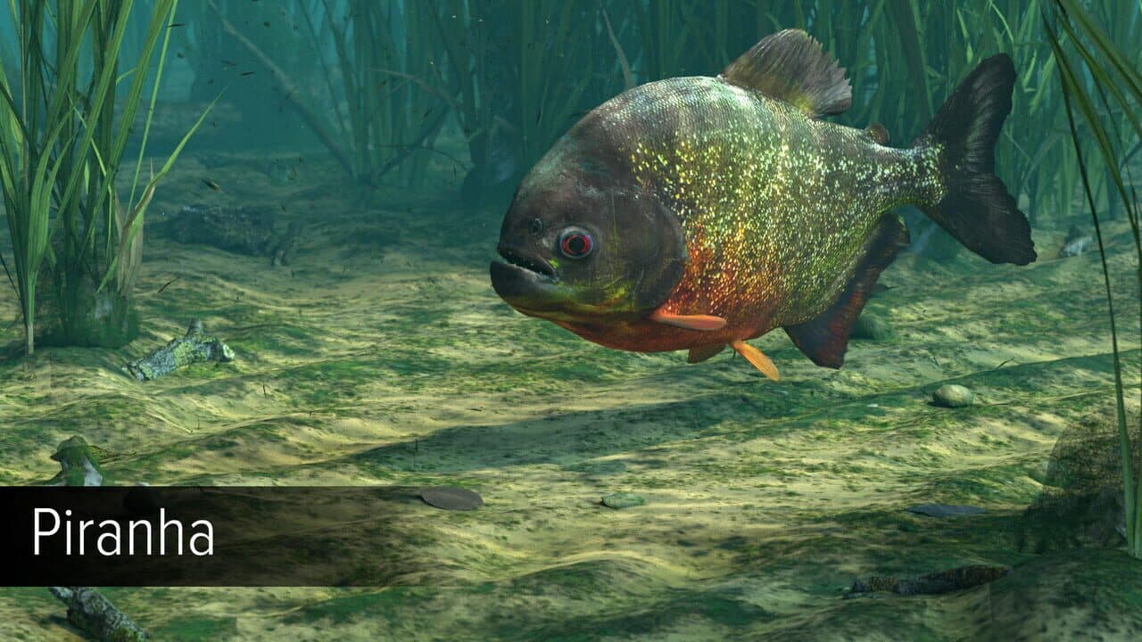 Ultimate Fishing Simulator VR: Amazon River thumbnail 9